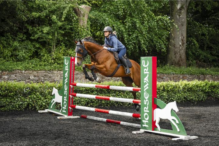 Produktbild Horseware Ionic Calming Face Mask