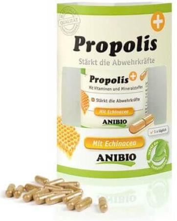 Produktbild Anibio Propolis (Adult, Junior, Senior, 1 Stk., 733 g)