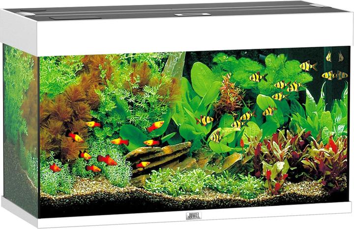 Immagine prodotto Juwel Aquarium Rio (125 l)