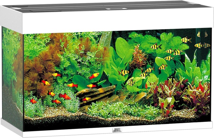 Juwel Aquarium Rio (125 l)