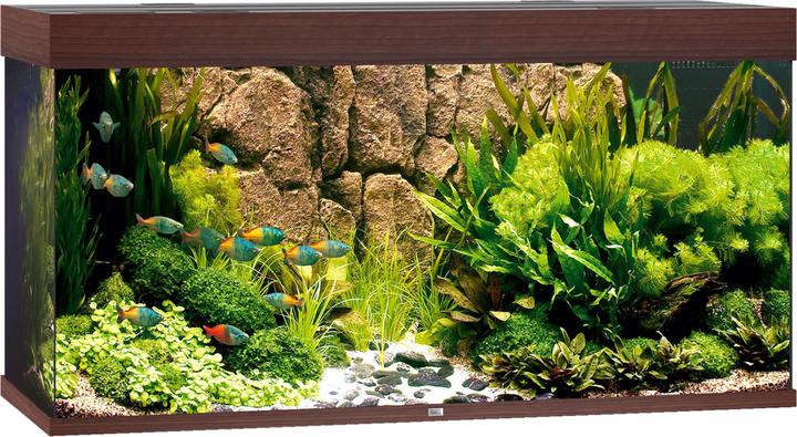 Image du produit Juwel Aquarium Rio (350 l)