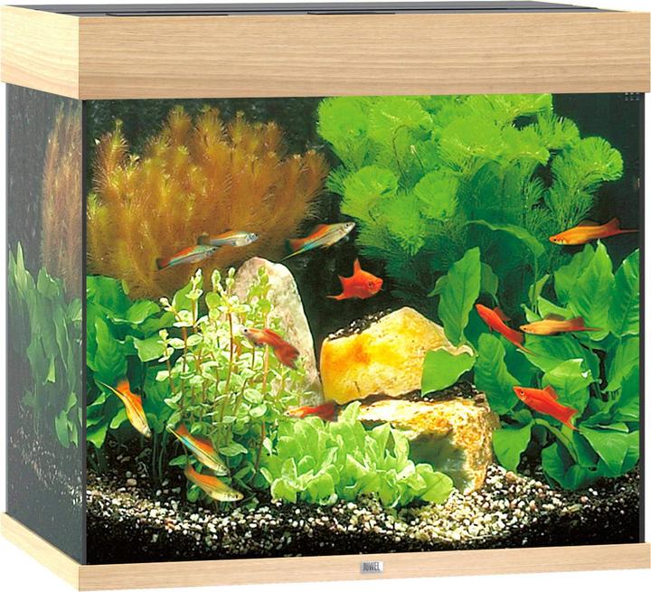 Immagine prodotto Juwel Aquarium lido (120 l)