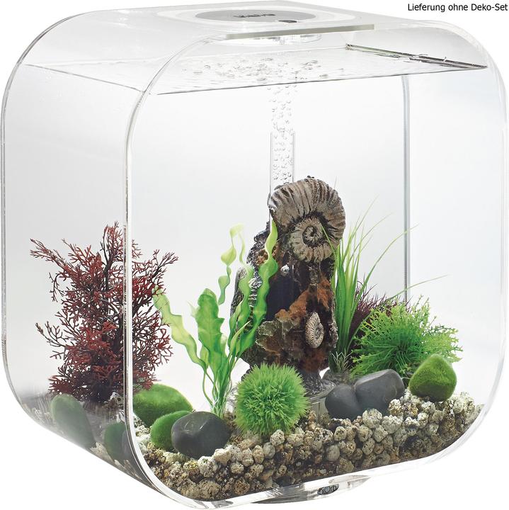 Produktbild Oase biOrb Life 30 MCR Aquarium (30 l)