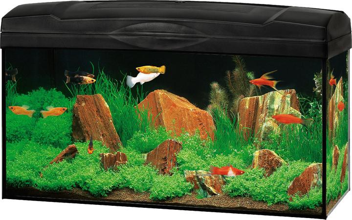 Actual product image Marina Aquarium complete set Basic 54 l