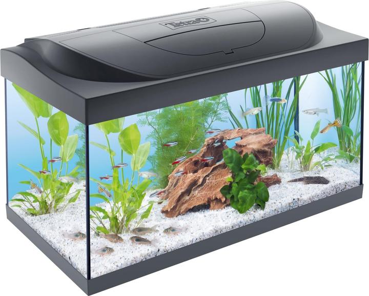 Produktbild Tetra Starter Line (54 l)