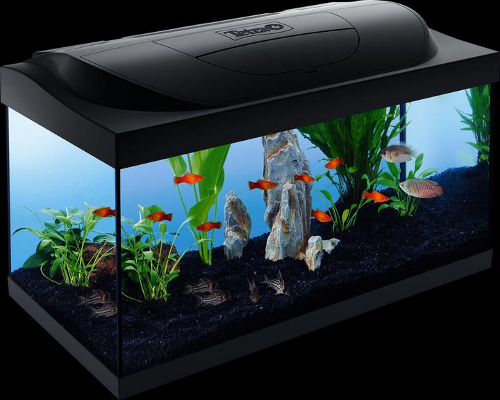 Produktbild Tetra Starter Line (54 l)