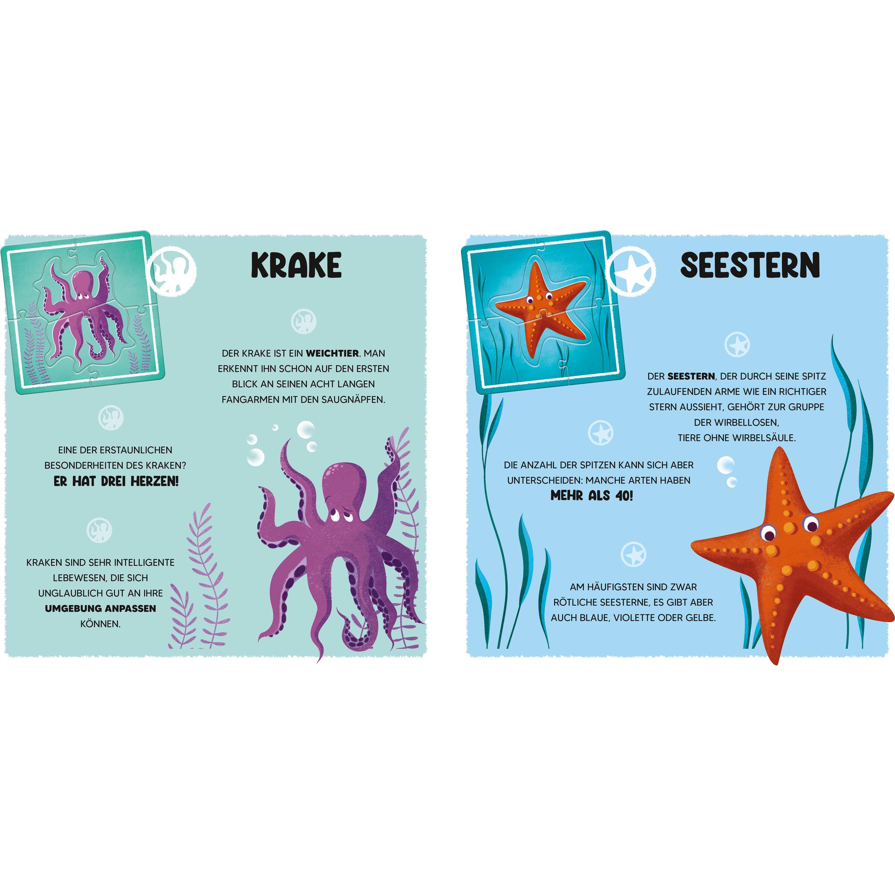 Thumbnail - National Geographic Mini-Puzzle Der Ozean (6 Teile)