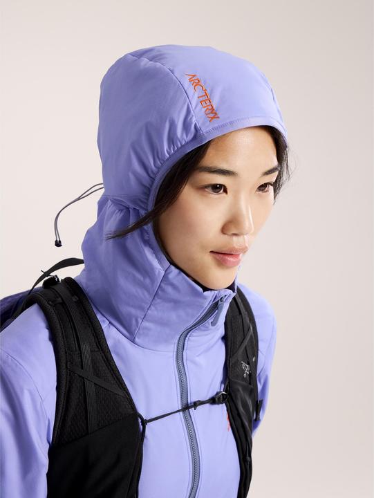 Image du produit Arc'teryx Atom Hoodie (L)