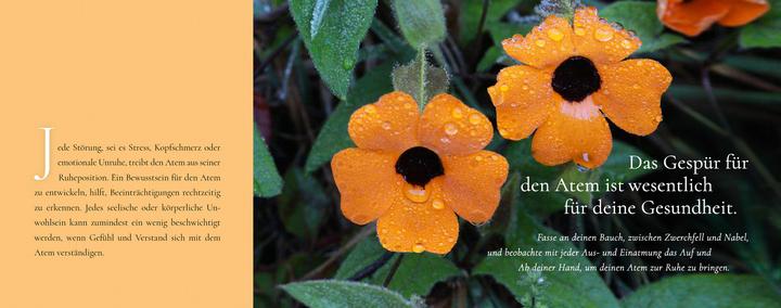 Image du produit Meine Momente zum Durchatmen (Allemand, Anjali Sriram, R. Sriram, 2021)