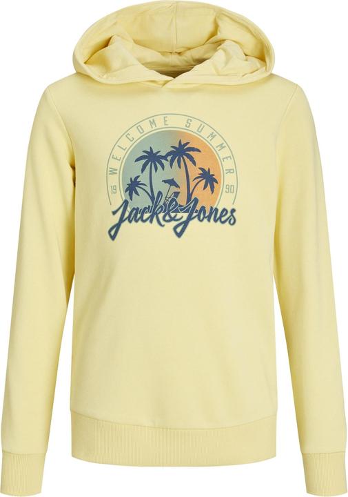 Produktbild Jack & Jones Jjsummer Smu Vibe Sweat Hood Jnr (176)