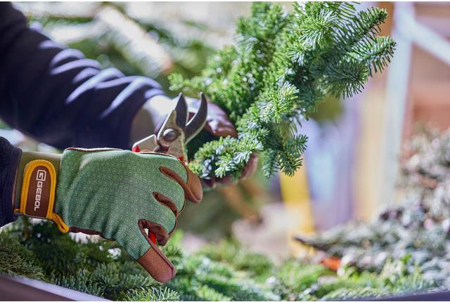 Immagine prodotto Gebol Vitis 11 (11)