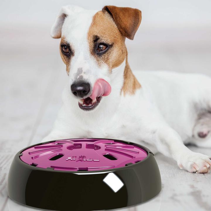 Produktbild Aikiou Junior Interactive Feeder