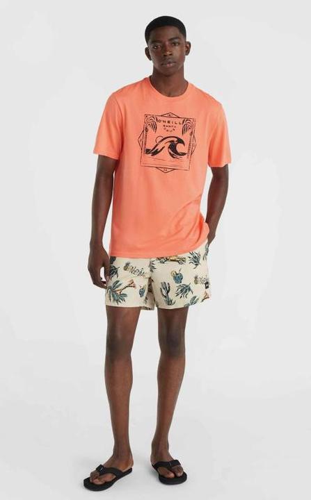 Actual product image O'Neill MIX & MATCH CALI PRINT 15" SWIM SHORTS (L)