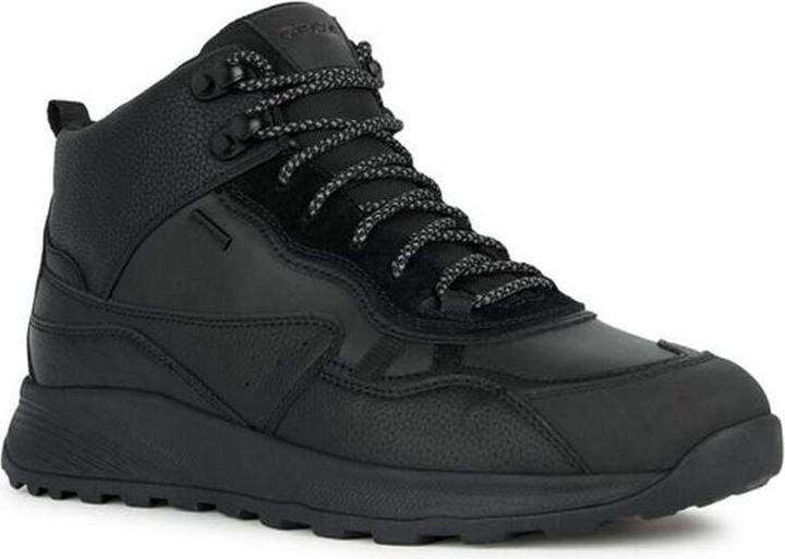 Image du produit Geox Terrestre (43)