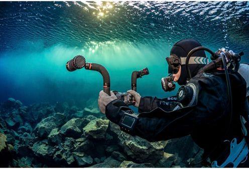 Immagine prodotto Sealife Braccio flessibile Flex & Connect