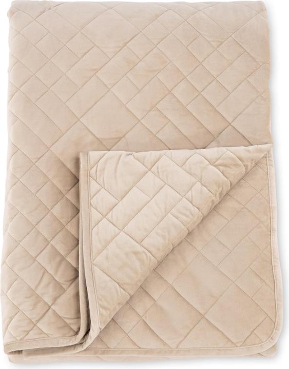 Image du produit Venture Home Couvre-lit Jilly (80 x 150 cm)