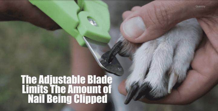 Image du produit Zen Clipper Ciseaux à griffes réglables (Chien)