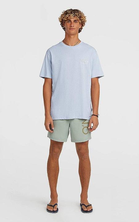 Actual product image O'Neill Cali 16" Swimshorts (XL)
