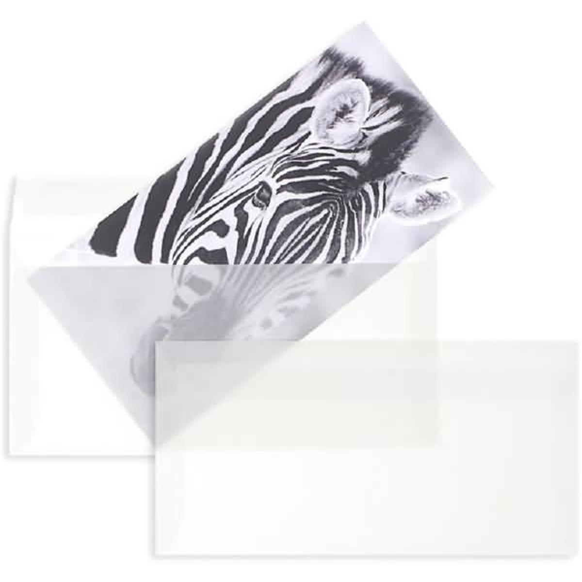 Blanke, Briefumschlag, Briefumschläge Offset transparent DINlang 90g/qm HK VE=500 Stück weiss (110 x 220 mm, 500 x)