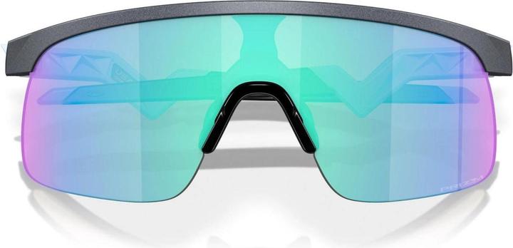 Actual product image Oakley Resistor (Blue Steele, Prizm Sapphire)