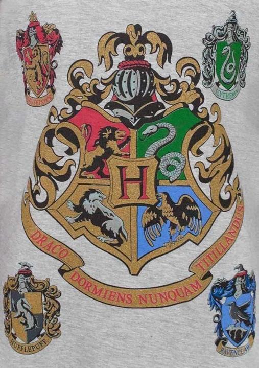 Immagine prodotto Maglietta raglan ufficiale di Hogwarts per ragazze (128)