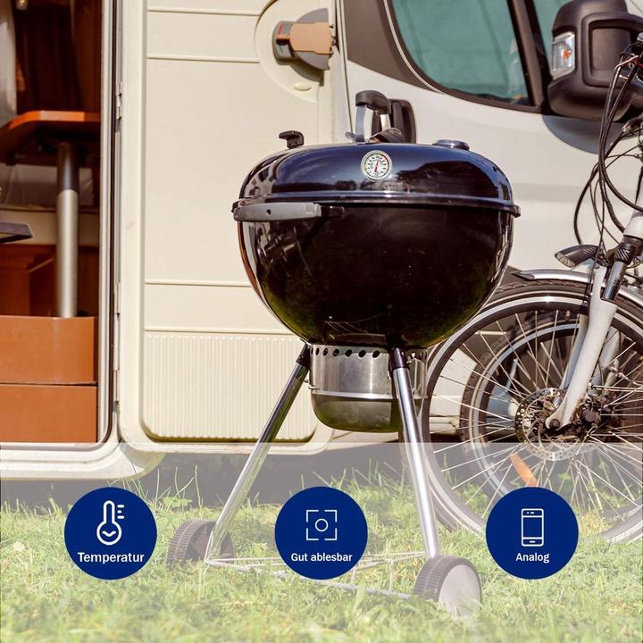 Actual product image TFA Barbecue Roast Thermometer