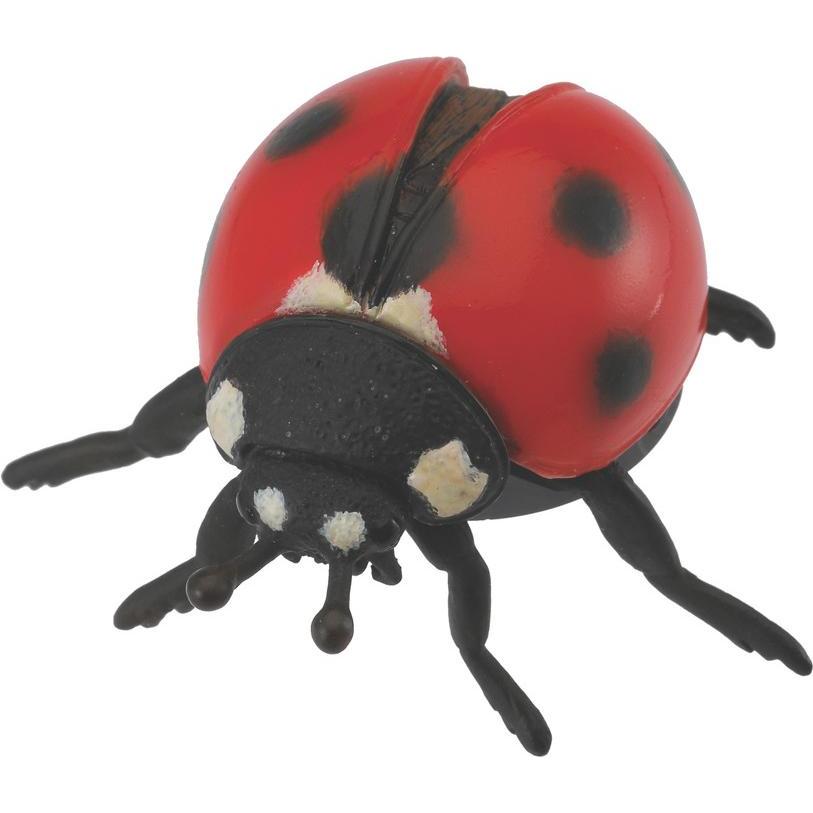 Collecta Marienkäfer