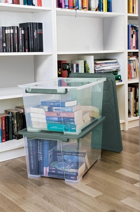 Produktbild Rotho Evo Safe (59 x 39.5 x 28 cm, 44 l)