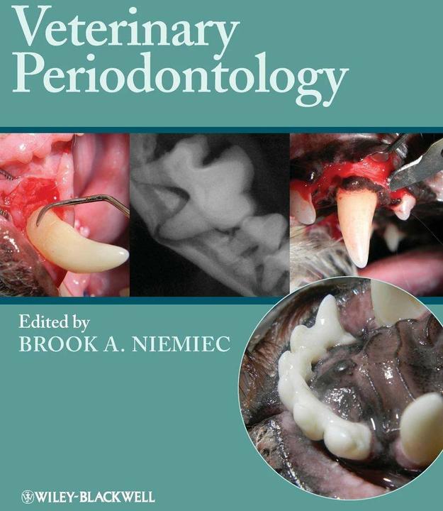 Produktbild Veterinary Periodontology (Englisch, Brook Niemiec, 2012)