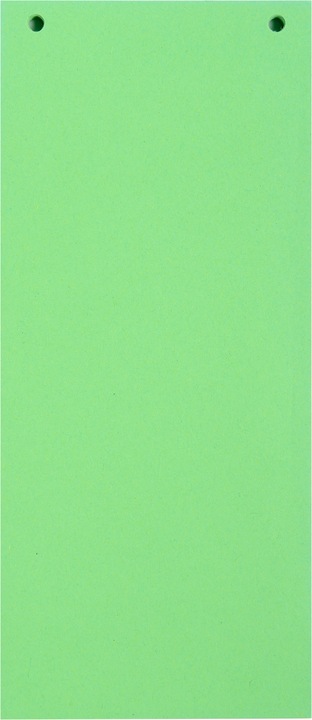 Produktbild Exacompta Trennstreifen Forever 10.5 x 24 cm, 100 Stk. - grün