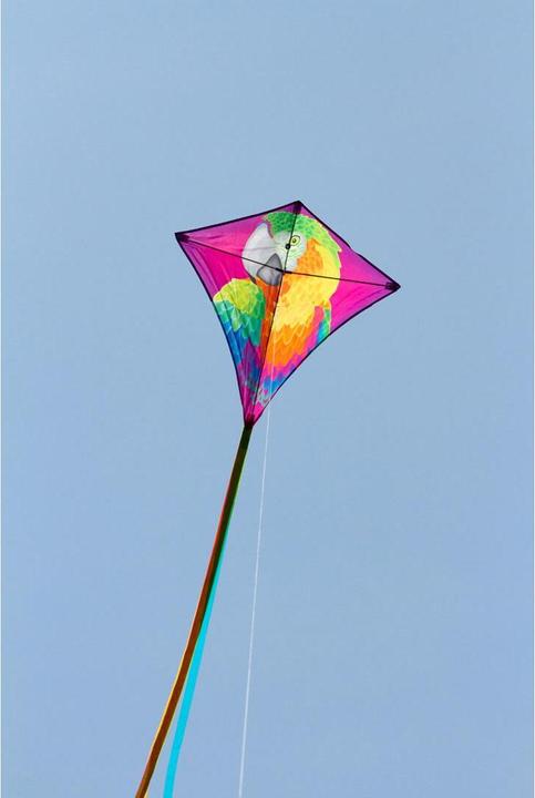 Produktbild Invento Eddy Parrot