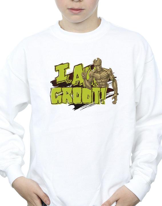 Image du produit Guardians of the Galaxy - Sweat AM GROOT - Garçon (128)