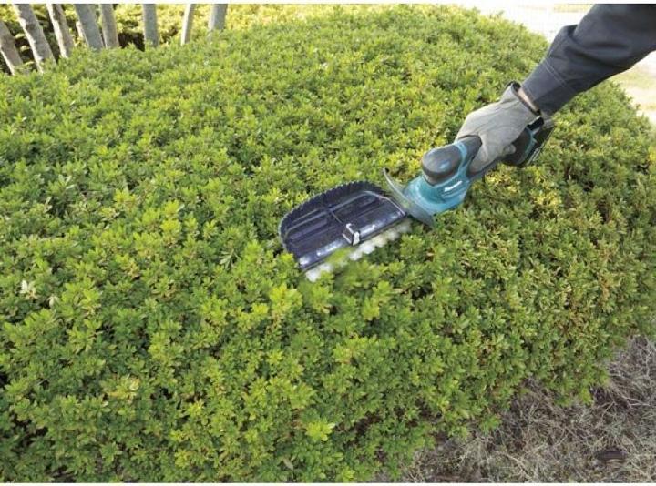 Actual product image Makita Dum604zx (Rechargeable battery operated)