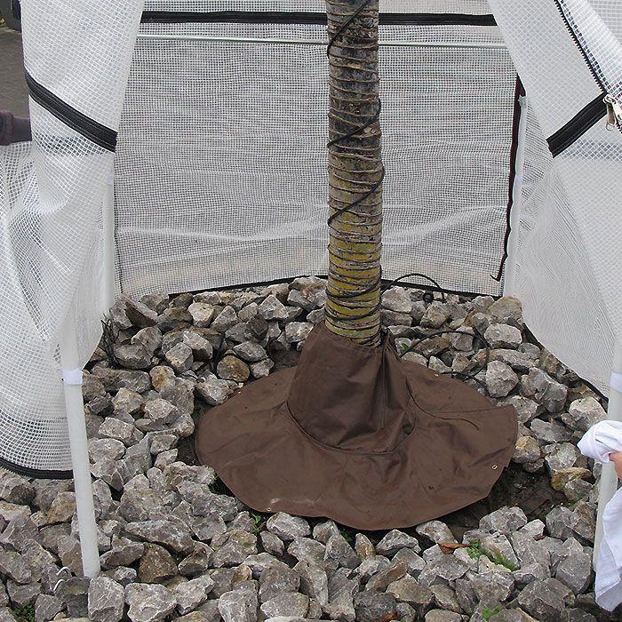 Actual product image Bio Green Palms Root protection