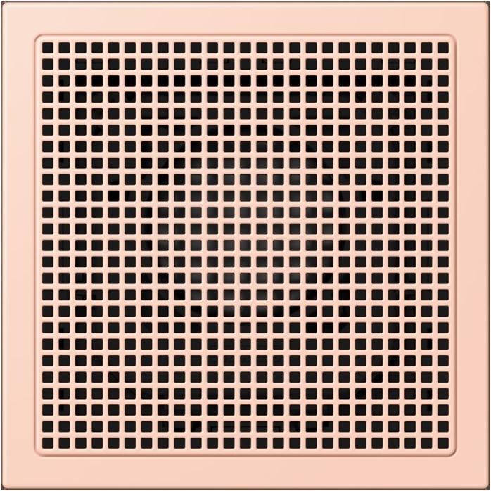 Actual product image JUNG Loudspeaker module