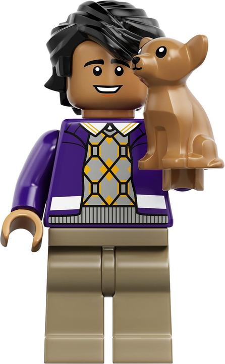 Image du produit LEGO The Big Bang Theory (21302, LEGO Ideas, LEGO difficiles à trouver)