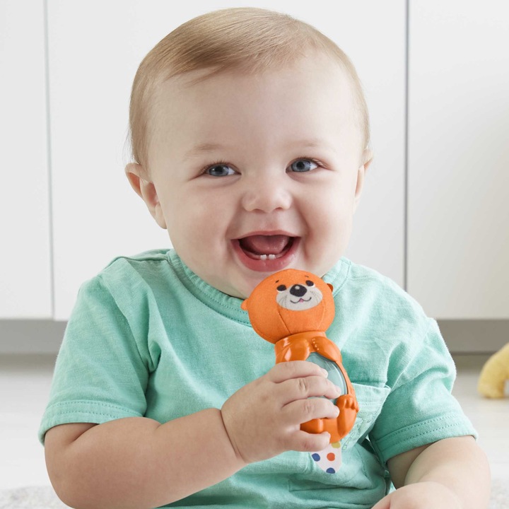 Produktbild Fisher-Price Tier Rasseln, Aktivitätsspielzeuge für Babys