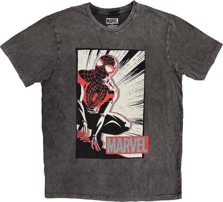 Immagine prodotto Spider-Man Crouch Cartoon Stone Wash (L)