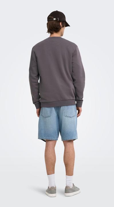 Actual product image Only & Sons Onsceres Crew Neck Noos (L)