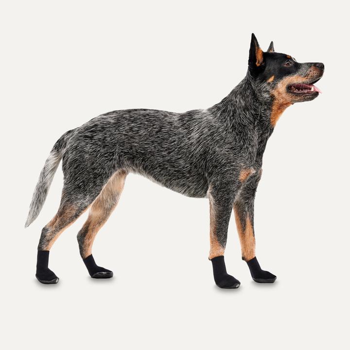 Image du produit Goo-eez Lites All Season Chaussures tout-terrain Noir L (L, Chaussures pour chien)