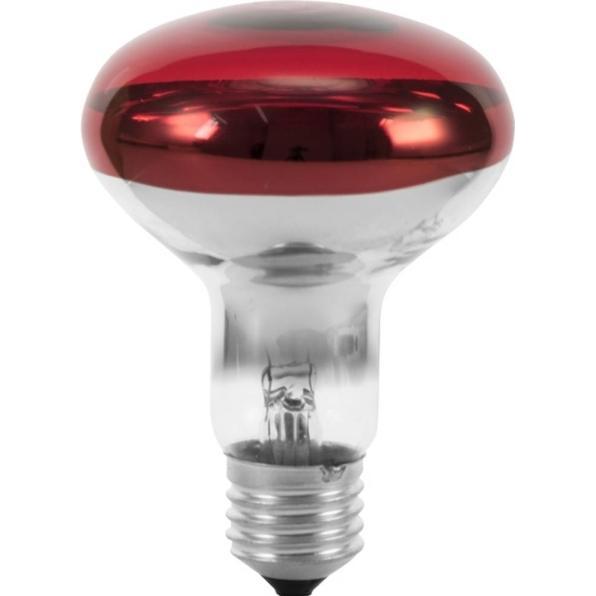 Omnilux R80 230V/60W E-27 rot (60 W, E27), Lichttechnik Leuchtmittel