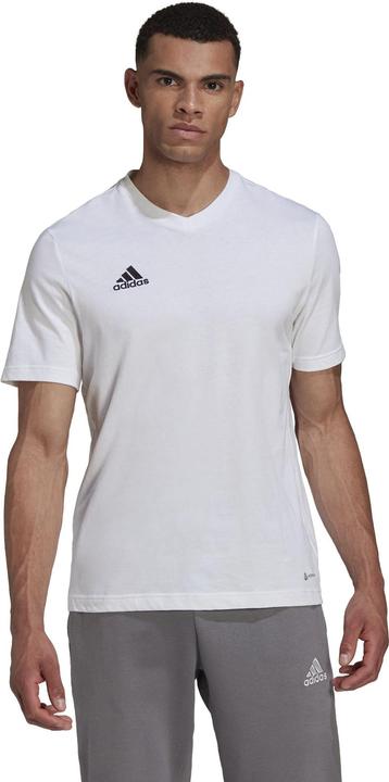 Produktbild adidas Entrada 22 T-Shirt Herren (S)