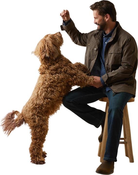 Immagine prodotto Ariat Calumet (M)