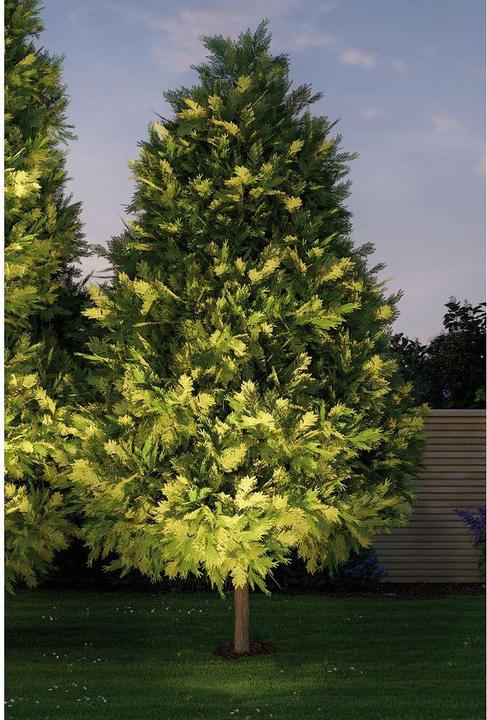 Immagine prodotto Paulmann Lampada da incasso a pavimento per esterni Plug & Shine (609 lm, IP67)