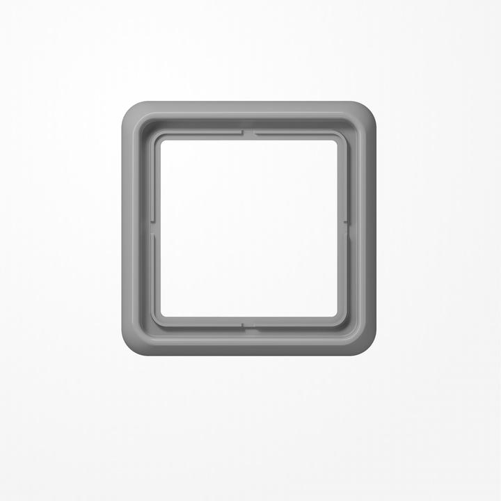 Actual product image JUNG Frame