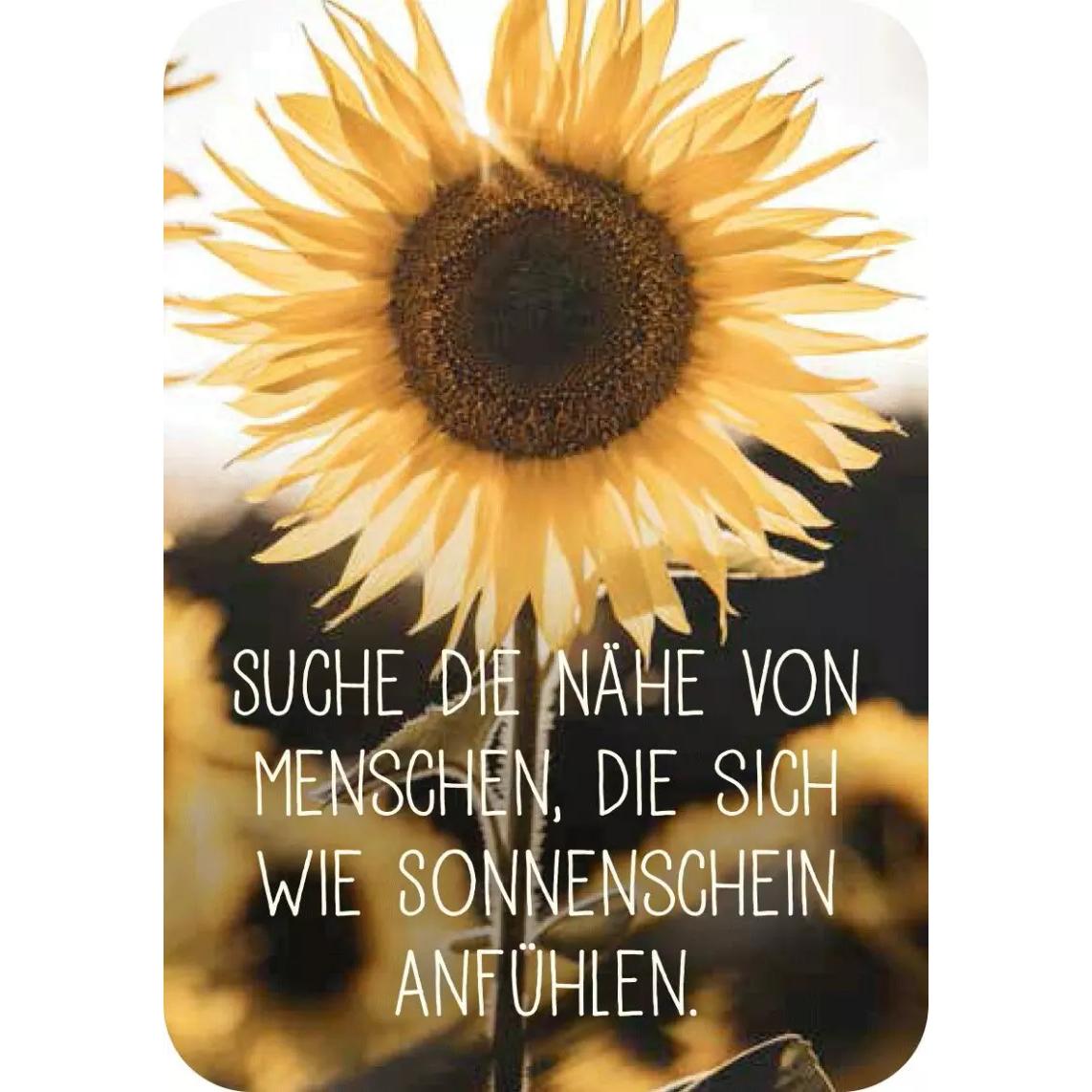 Achtsamkeit für den Löwen, Ratgeber