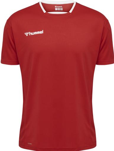 Actual product image hummel Authentic Poly Jersey S/S (M)