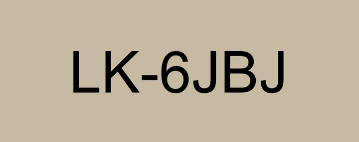 Produktbild Epson LabelWorks LK-6JBJ - Black on matt (2.40 cm, Schwarz, Beige)