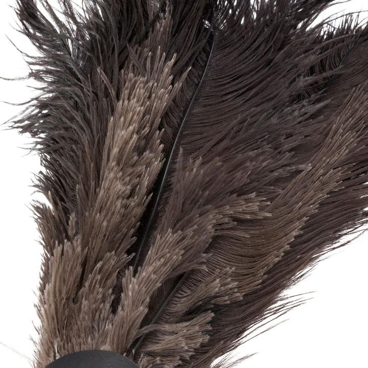 Actual product image Bürstenhaus Redecker Ostrich feather duster
