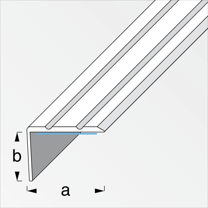 Produktbild Alfer Winkelabschlussprofil Alu 2m